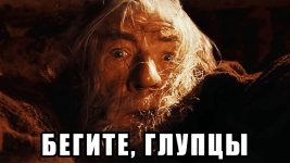 IMG_6255.jpeg