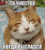 IMG_20240327_085233_256.jpg