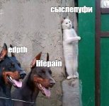 прятки.jpg