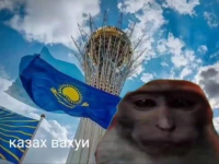 IMG_8719.png