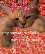 ff3acd4888a7da3fdd26ba25123cca1a.jpg
