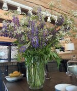 IMG_8952.jpeg