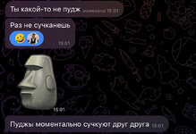 IMG_7043.jpeg