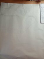 IMG_20240617_175510.jpg