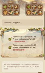IMG_2555.jpeg