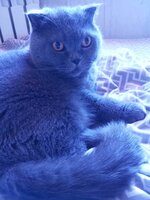 IMG_20240919_091923.jpg