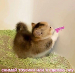 IMG_1762.png