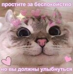 14184501be3bbf97ff964ae785842ed2.jpg