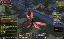 2025-02-13 11-46-28.jpg