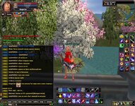 2025-02-20 11-34-42.jpg