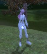 IMG_8664.jpeg