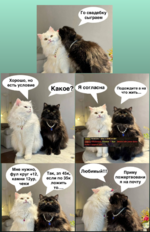 кот1.png