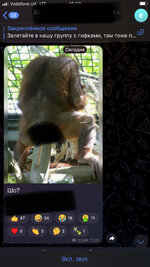 IMG_2272.jpeg