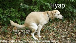 5fe467f29038dbbee433727bb14d8d35__01__01.jpg