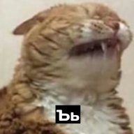 8th