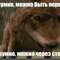 PoLKiLo