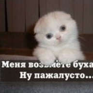 Белкин