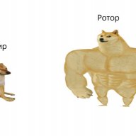 MartinFox