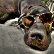 Олег Афонин