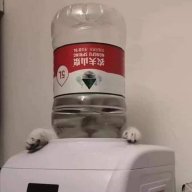 криИзи