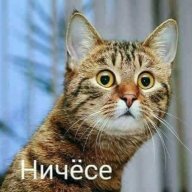 Лохматый