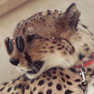 Mscyashka