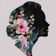 Erida