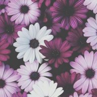 💜💜💜