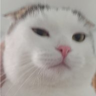 Upopia