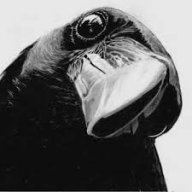 TheRaven
