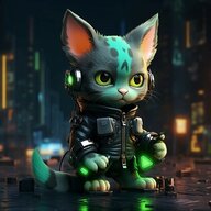 Mr.Goodkat