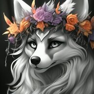 Arissa