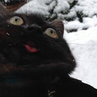 Berlioz