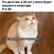 Alex2077