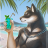 shiba