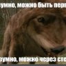 PoLKiLo
