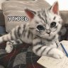 ЧИКИБАМБОНИ!!!11