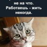 Chilly_Willy