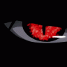Haku