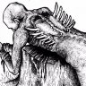 Blodorn