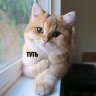Полторашка