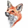 nullclarity