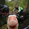 _Random_