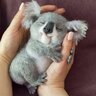 Клюховна