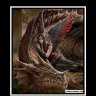 Dragon Eol