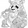 Ausa_pw