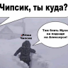 чипсик