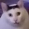 ShinLim
