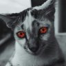 Тугая струя