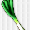 leek